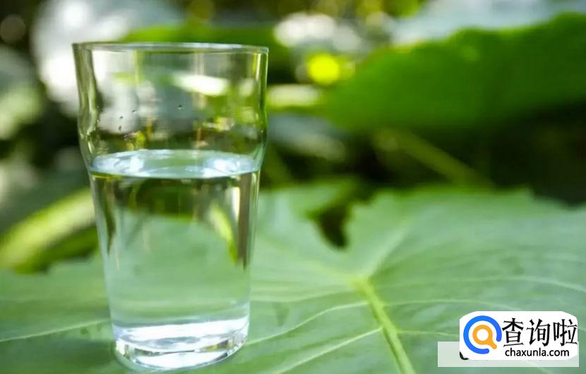 早上喝水该喝什么水，又有什么作用呢？
