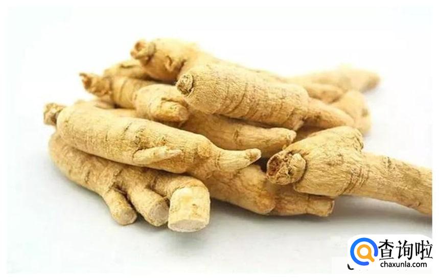 西洋参的功效与作用