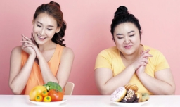 不吃晚饭能减肥吗