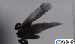 国画初学者金鱼技法