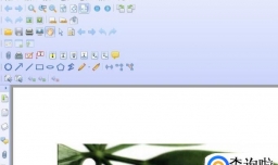 PDF怎么打开上次的阅读记录