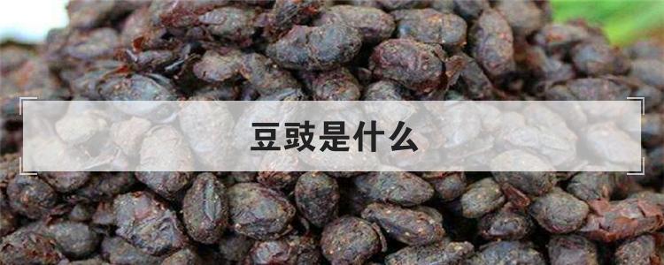 豆豉是什么