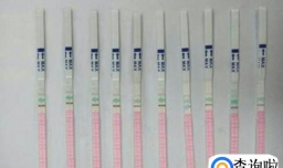 排卵测不到强阳怎么回事