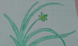 怎样简单画兰花
