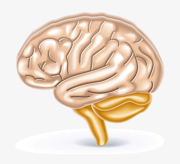 笨人怎么变聪明