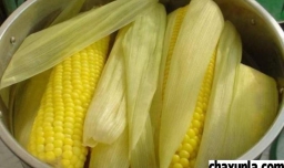 煮玉米保鲜的方法