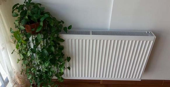 床垫子生小黑虫怎么消除