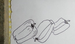 怎样画儿童简笔画青椒？