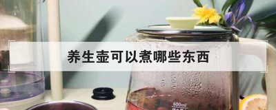 养生壶可以煮哪些东西