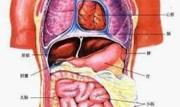 小腹左边疼是怎么回事