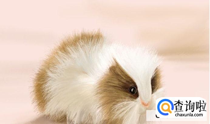 家中有老鼠怎么消灭