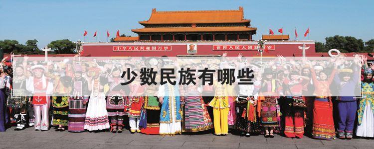 少数民族有哪些