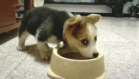 小心翼翼是什么意思