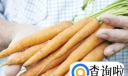 如何挑选胡萝卜