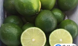 高端的水果品种有哪些