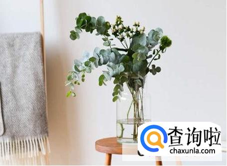 花插在花瓶里怎么延长花期的方法