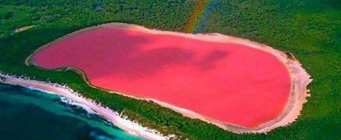 塞内加尔的玫瑰湖为什么是粉色的