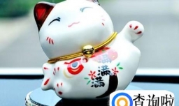 车里放点什么装饰品好？