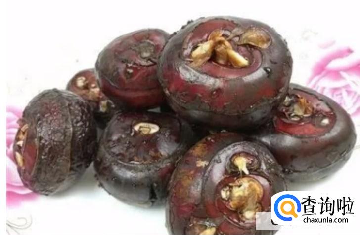 润肺养肺清肺的食物有哪些