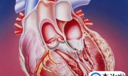 心脏骤停的病因有哪些？