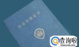 如何确定公司已经通过年检