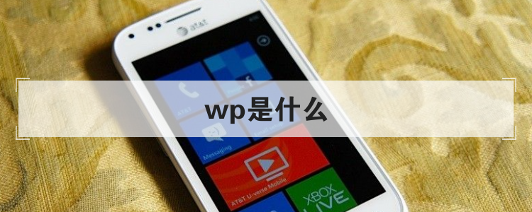 wp是什么