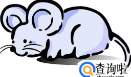 属龙配-十二属相婚配表-生肖婚配-属相相克查询