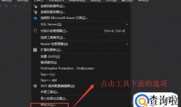Visual  Studio中如何设置文本字体