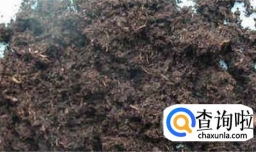 多肉植物的养殖方法？