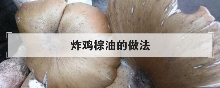 炸鸡棕油的做法