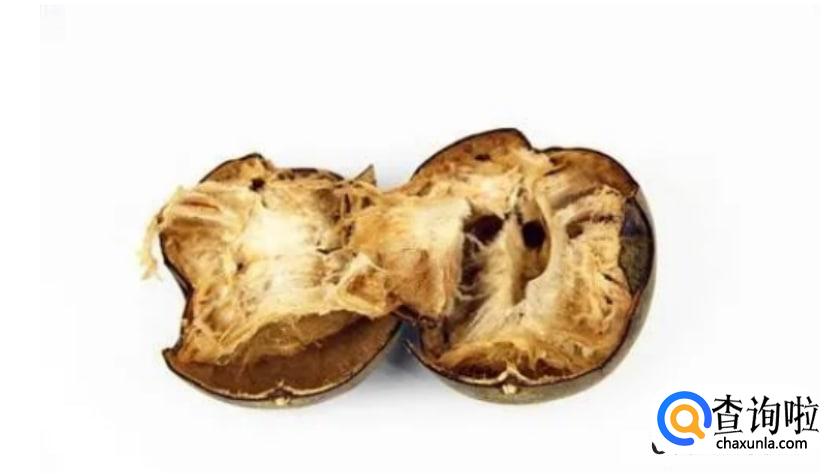 润肺养肺清肺的食物有哪些