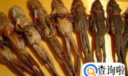 提高女性性欲的食物有哪些？