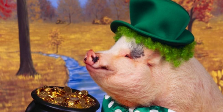 属猪和什么属相最配