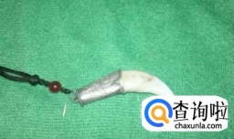 狼牙怎么鉴定真假？