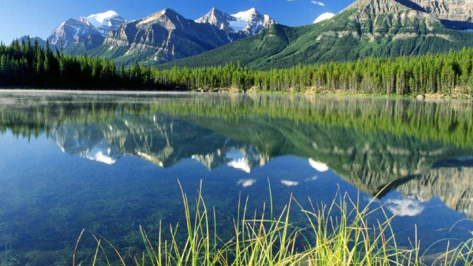 出其不意是什么意思