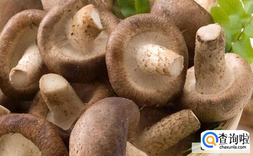 手术后能吃香菇吗