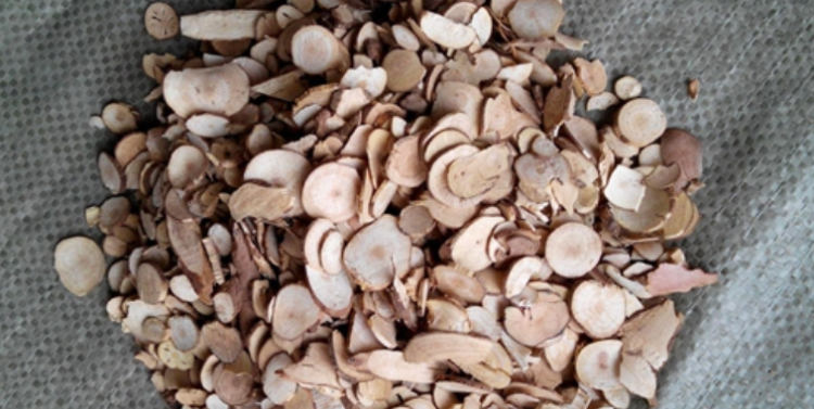 乌药的功效与作用