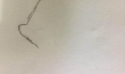 一笔一划教宝宝画行简笔画 如何画小鱼