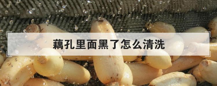 藕孔里面黑了怎么清洗