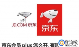 京东会员plus怎么开、有哪些权益？