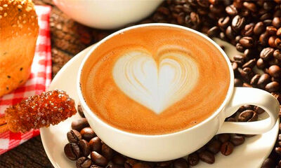 咖啡的故乡是哪里