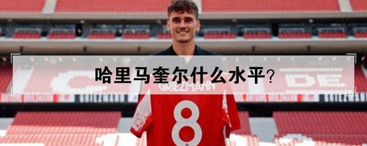 哈里马奎尔什么水平？