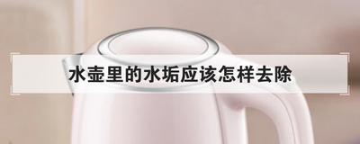 水壶里的水垢应该怎样去除