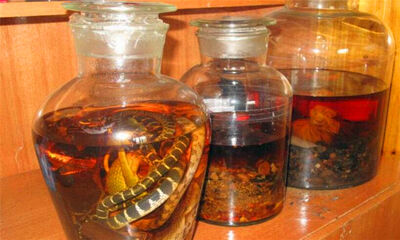 药酒是在哪个朝代之后出现