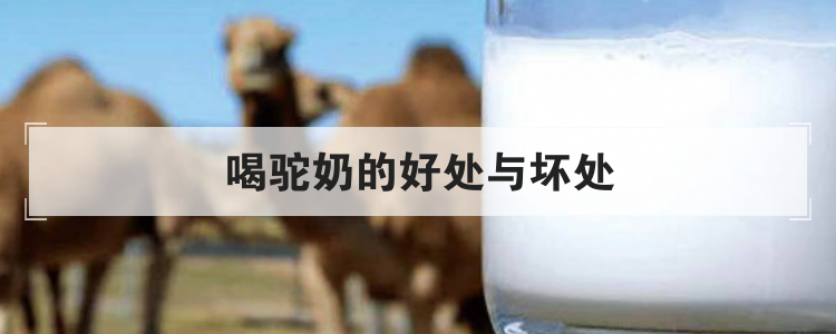 喝驼奶的好处与坏处