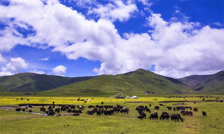 世界上有几大洲