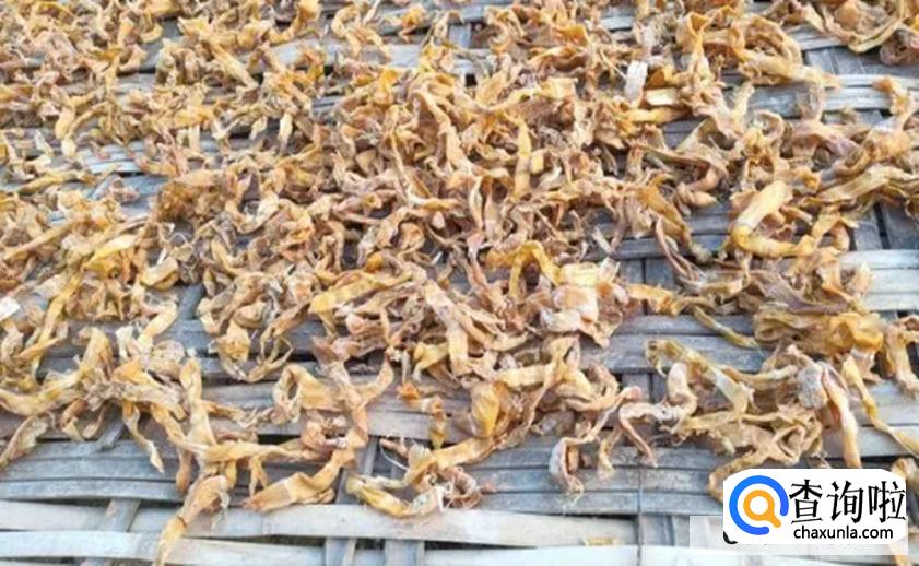 干竹笋如何存放