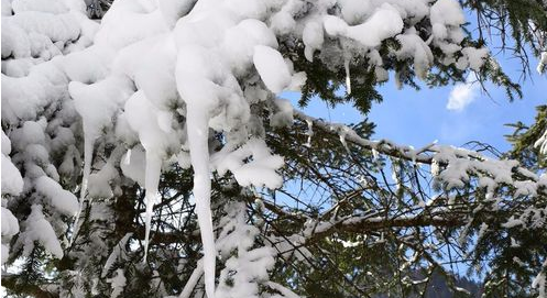 毕棚沟旅游攻略