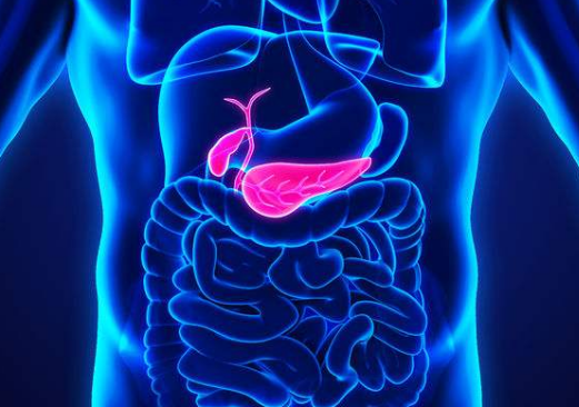 五脏六腑指的是什么