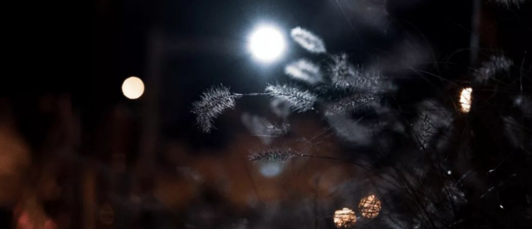 表示想的词语有哪些